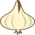 Dehydrated Garlic