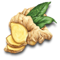 Dehydrated Ginger