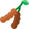 Dehydrated Tamarind