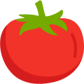 Dehydrated Tomato